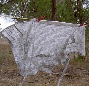 Peg holding a thin blouse in a breeze